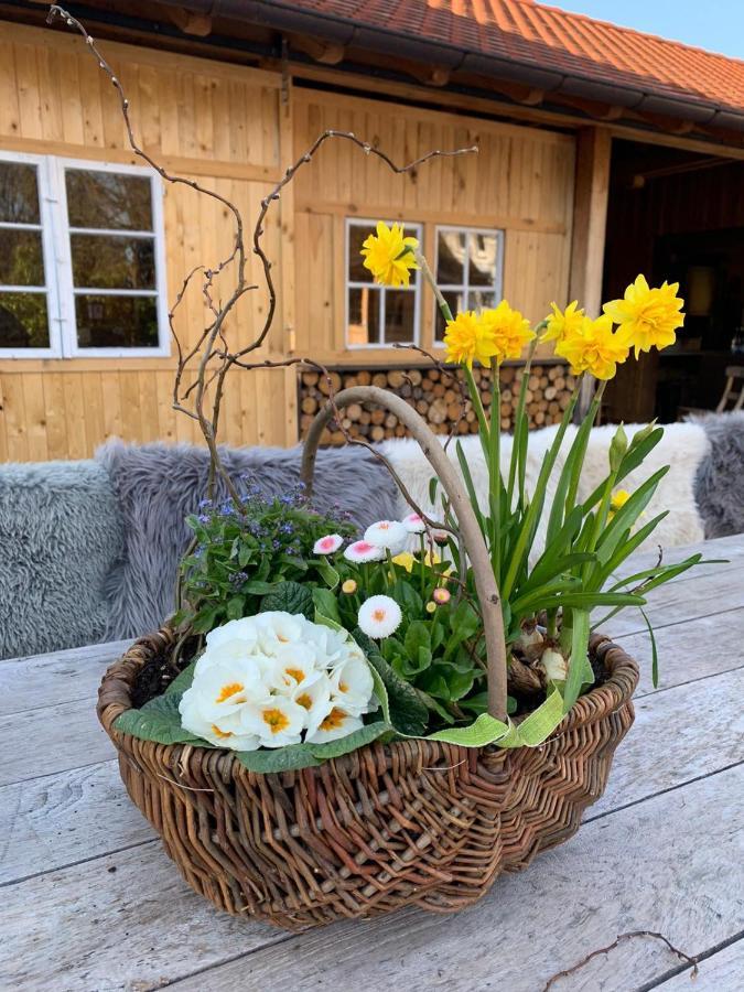 Gasthof Zum Goldenen Kreuz Wilhelmsdorf  Eksteriør bilde
